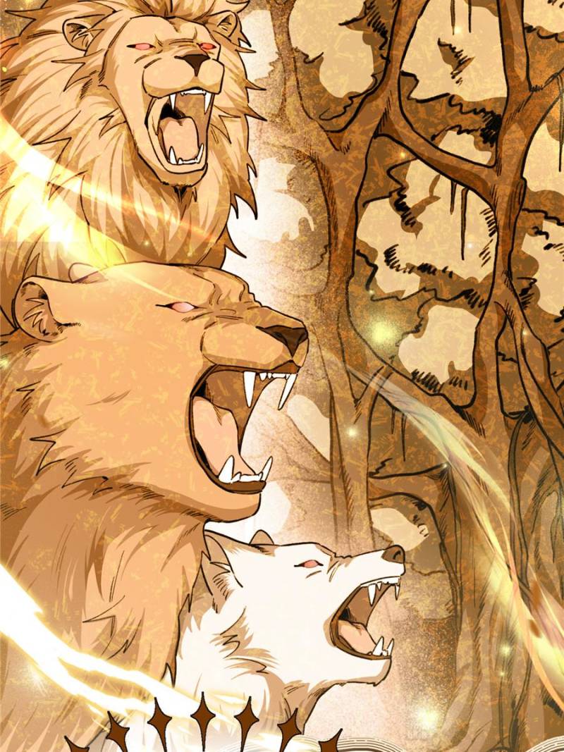 80676555 800 1067 148517